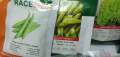 10 Packs of F1 Hybrid  Winter Vegetables Seeds by Victoria Store. 