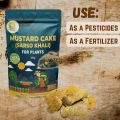 Digital Gardening Mustard Oil Cake (Sarso Khali) Organic Essential Fertilizer for Home Garden, Potting Plant Growth & Healthy Root Nutrient (500 Grams). 
