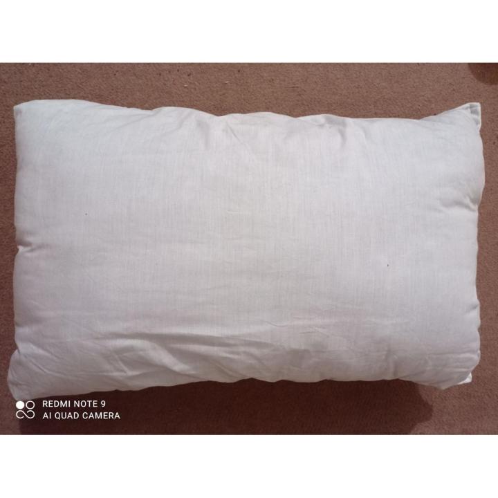 Pillow (Soft, Fluffy and comfortable)