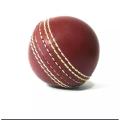Soft Indoor& outdoor Rubber Cricket Ball Practice Ball With (Synthetic) Red and White Color Imported Quality Meterial Best for Beginners of Hard Ball. 