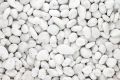 White Medium Pebbles/ Stones for Garden and Aquarium  1 kg pack. 