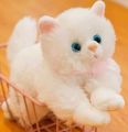 Cat Stuffed Animal Soft Cat Plush Toy Persian Cat Stuff Toy White Color 25 cm. 