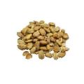 Tukhm e Karela |  Bitter Gourd Seeds | تخم کریلہ‎ wt 250 gm. 