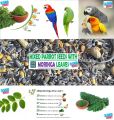 3.5KG Special Treat, Seed Mix Feed with moringa leaves For Large Parrots African Grey Parrot, Macaw, cockatoo Alexandrian parakeet, RAW, Pahari Totta and Other, Parrot Treat & Parrot Blend. 