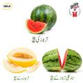 Fruit seed Pack Hybrid F1 Anarkali Watermelon , Desi Watermelon and Desi Melon seeds By Moji Mall. 