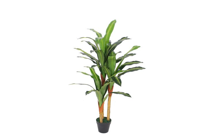 Imported%20artificial%20%20Dracaena%20Plant%20with%20black%20Planter%20-%20Image%205