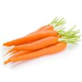 Vegetable Seed, China Carrot Seed, Seed for kitchen gardening. 