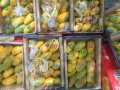 Mango Export Quality Box Sindhri  (08-09 KG Packing). 