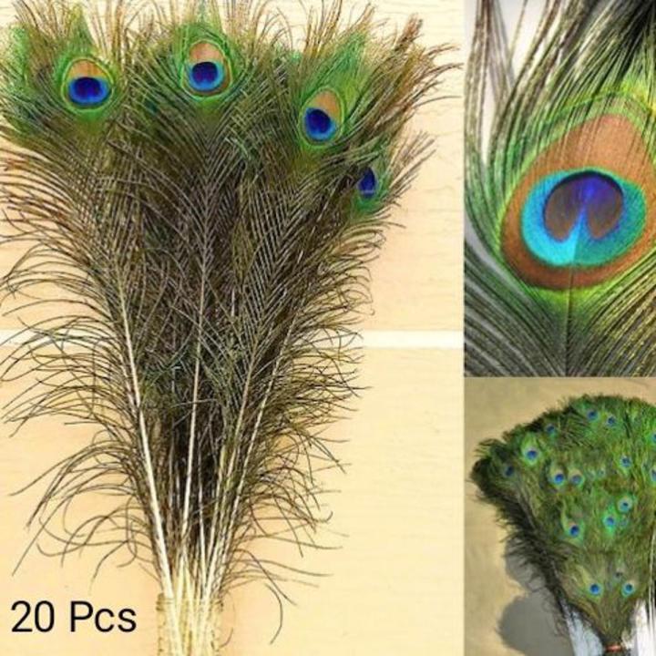Peacock Feathers