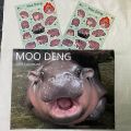 Creative Moo Deng Moo Deng Calendar Paper Daily Weekly Monthly Planner 2025 Calendar Hanging Wall Calendar for Home Office. 