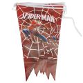 SPIDERMAN THEME BUNTINGS - PACK OF 10 SPIDERMAN FLAGS BANNER. 