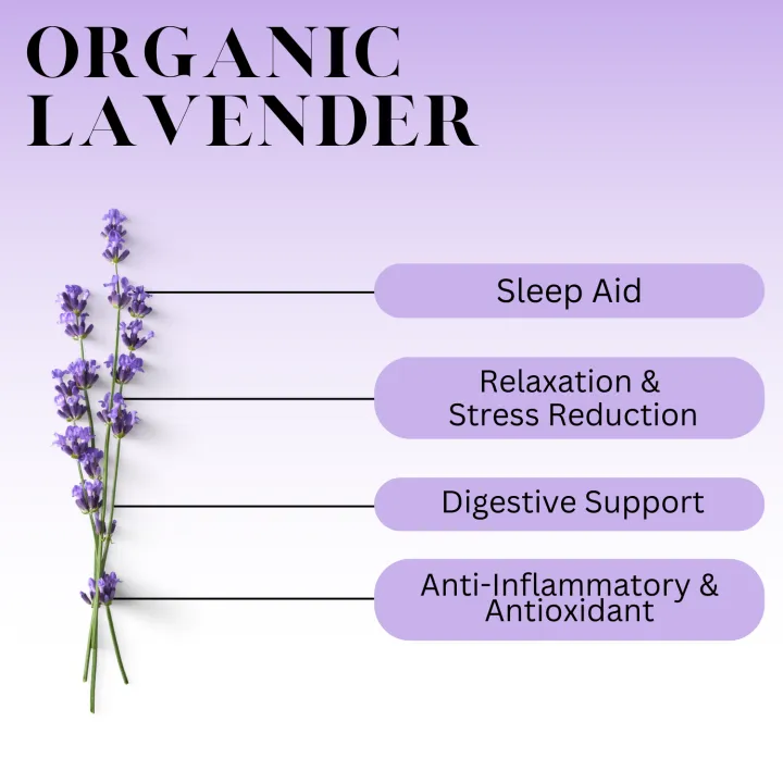 Lavender%20Tea%20100gm%2050gm%20-%20Relaxes%20Your%20Body%20Improves%20Sleep%20,%20Digestive%20&%20Immune%20System%20-%20Image%206