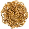 Worms for birds, Dry worm | 100g | pure organic for bird | finches | hens and hamster. 