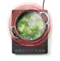 KENWOOD SINGLE INDUCTION COOKER Model IDC01. 
