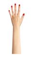 Henna Mehndi Practice Hand | Reusable practice mehndi hand | Mehndi Stencils High Quality Reusable Mehndi Practice Hand For Henna Practice - Bridal hand. 