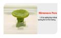 Silicone Airtight Sealed Food Storage Box with Lid - Large. 