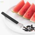 Fruit Seed Removal Device Stainless Steel for Fruit Pitter Home Kitchen. 