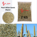 Bajra باجرہ | Premium Pearl Millet Seeds For all kind of Birds - 2 KG. Nutrient-rich feed suitable for a variety of birds including parrots, pigeons, finches, and other pet birds, High-energy millet seed promoting freshness and value for pet. 