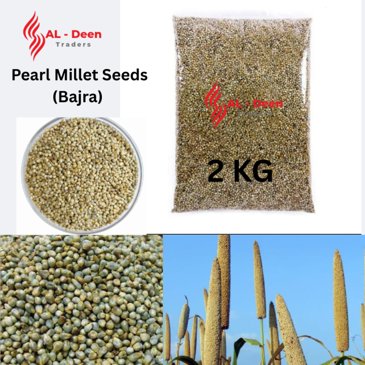 Bajra باجرہ | Premium Pearl Millet Seeds For all kind of Birds - 2 KG. Nutrient-rich feed suitable for a variety of birds including parrots, pigeons, finches, and other pet birds, High-energy millet seed promoting freshness and value for pet