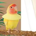 Parrot Anti Bite Collar, Parrot Neck Protective Collar, Anti Grab Feather Plucking, Breathable for. 