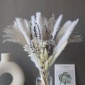 Stuffed ToysStuffed Toys, Rhapsody Factory Lavender Reed Mixed Bouquet Natural Dried Bouquet Scene with Landscaping Home Decoration. 