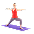 Imported Large Size PVC Anti Slip Sports Yoga Mat Fitness Training Mat Exercise Mat Gym Mat Exercise Mat Carpet Mat Yoga Mats. 