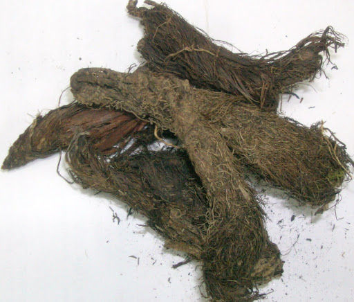 Balchar (Balchar Booti) 25Gram