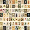 vintage aesthetic photocards 50 PCS wall collage kit for wall decorate 4x6" glossy prints customise available. 