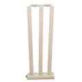 Plastic Wickets Set for Cricket - Large - 28 Inch. 