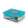 Appollo Eco Lock Food Keeper (S). 