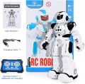 ARANEE RC Robot Toy for Kids, Intelligent Programmable Robot with Infrared Controller Toys, Dancing, Singing, Led Eyes, Gesture Sensing Robot for Kids (Black) UK IMPORT. 