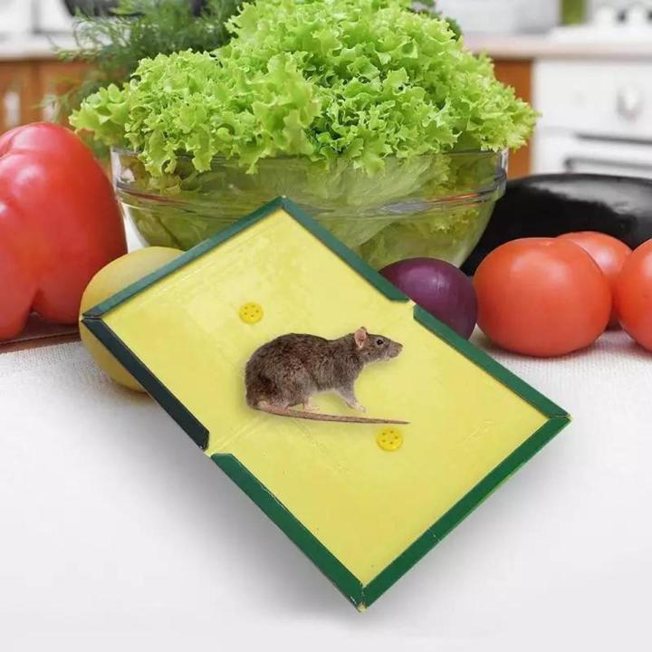 Reusable Expert Catch Mouse Glue Traps Mouse Size Glue Traps Sticky Boards Mouse Catcher Mice Professional Strength Glue Insect Lizard Spider Cockroach Rodent Snake Strongly