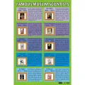 Muslim Scientist Educational Poster Educational  School Office Decoration. 