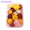 Embossed Dried Flowers Diy Dried Flowers Kit Real Natural ing Flowers for Handmade Jewelry Nails Crafts Bulk Dried Flower Material Favorite Floral Mural Decorations. 