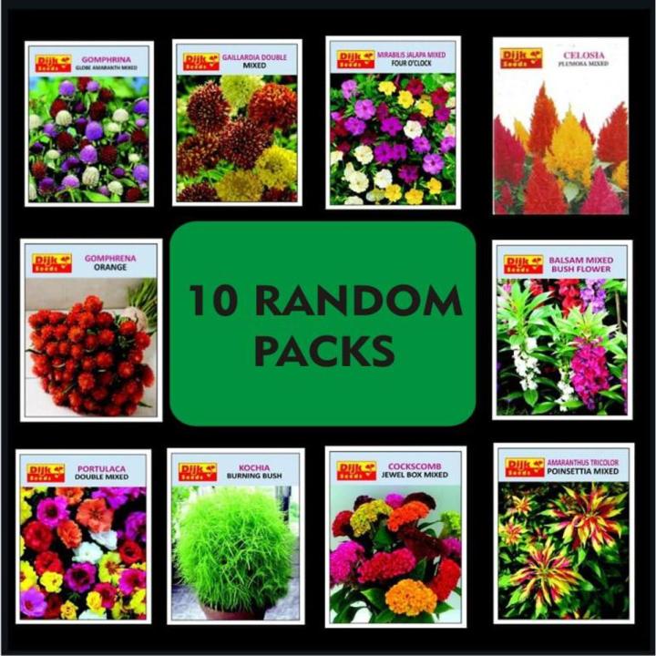Pack of 10 Packets  All different Spring Summer Season Flower Seeds