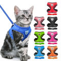 Leashes & Harnesses