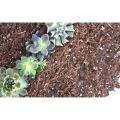 Soiless Potting mix , Succulent / Cactus soil , Potting Mix 500 Gram.. 