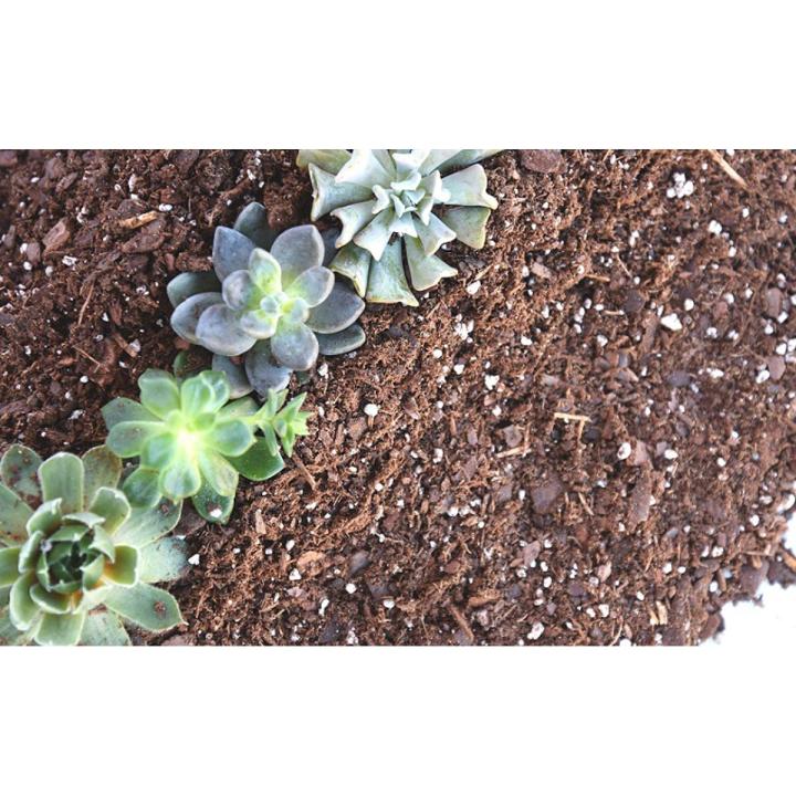 Soiless Potting mix , Succulent / Cactus soil , Potting Mix 500 Gram.