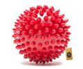 Spiked Ball Dog Chew Toy, Puppy Teething Toy, 3 Inches. 