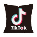 Factory Direct Red and Black YouTube Logo Pillowcase Company Logo Advertising Pillow Cushion Wholesale Dropshipping. 