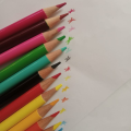 12 PCS|Pac of 12 Bicolor, 24 colors 2 in 1 | 24 Double Sided Pencil Colors | Multicolor Premium Quality | Artistic Colors for Kids | Ideal for coloring, drawing, and sketching | IMPORTED Includes Silver & Gold- Colour- Stationery. 