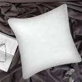 Cushion Pack of 2 Decorative Pillow Inserts - Square 18 x 18 Inches Sofa and Bed Pillow. 
