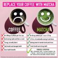 Premium Japanese Ceremonial Matcha Green Tea Powder - 1st Harvest HIGHEST Grade - USDA & JAS Organic - From Japan - Perfect for Starbucks Latte, Shake, Smoothies & Baking (3.53oz / 100g). 