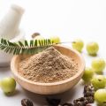 HEALTHVIT AMLA POWDER 100 GMS. 