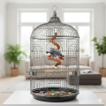 Spiral Bird Rope Perches - 4ft Flexible Climbing Rope - Chewing Toy for Ringneck Raw Conure Gray Parrots. 