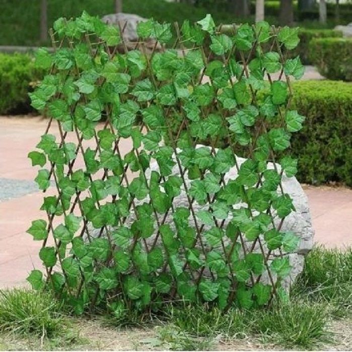Retractable%20Wooden%20Fence%20with%20Green%20Leaf-Artificial%20Wooden%20Green%20Leaf%20Fence%202%20feet%20(24%20inches)-Small%20Retractable%20Money%20Plant%20Leaves%20Fence-%20Bail%20of%20leaves%20-%20Wood%20Vines%20Climbing%20Frame%20Gardening%20Plant%20Home%20Decoration%20Size%202%20feet%20-%20Image%207