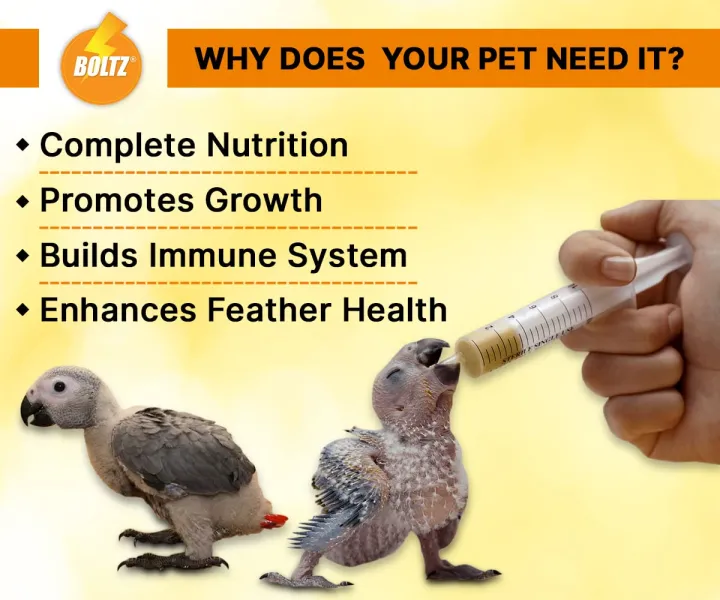 Boltz%20Natural%20Hand%20Feeding%20Formula%20for%20Birds%20-500%20Gm%20for%20Exotic%20Baby%20Bird%20Chicks%20Cockatiel%20Lovebird%20Afican%20Grey%20Parrot%20sunconure-%20500gm%20-%20Image%203