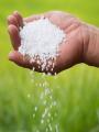 Gardners Cafe Urea Fertilizer (1 Kg Pack) High Quality Water Soluble For All Plants & Gardening Fertilizer. 