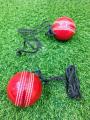 Leather Cricket Hanging Cricket Ball. 