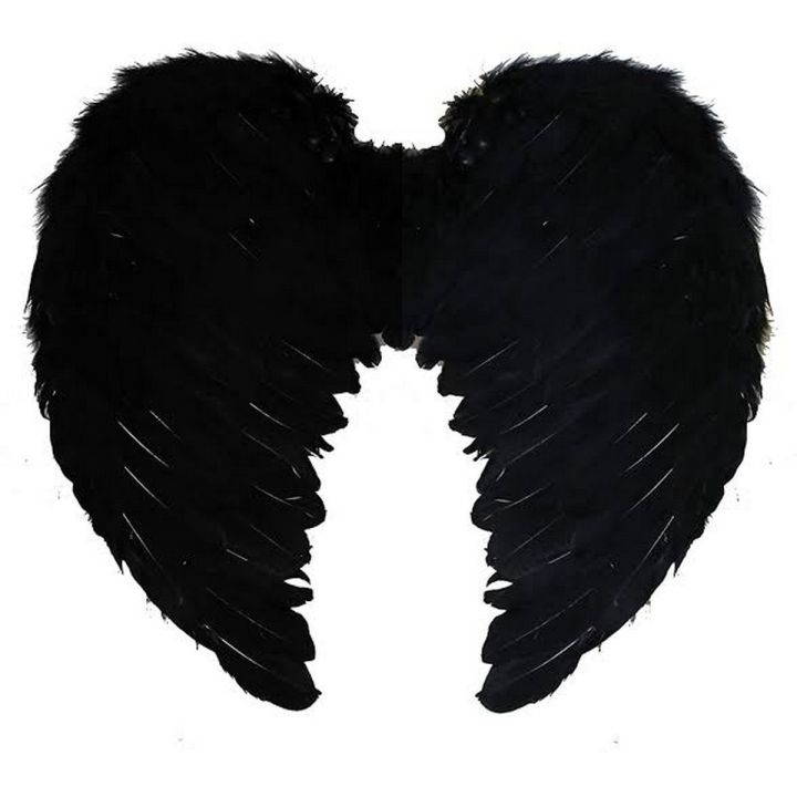 BLACK ANGEL WINGS MADE BY REAL FEATHER
